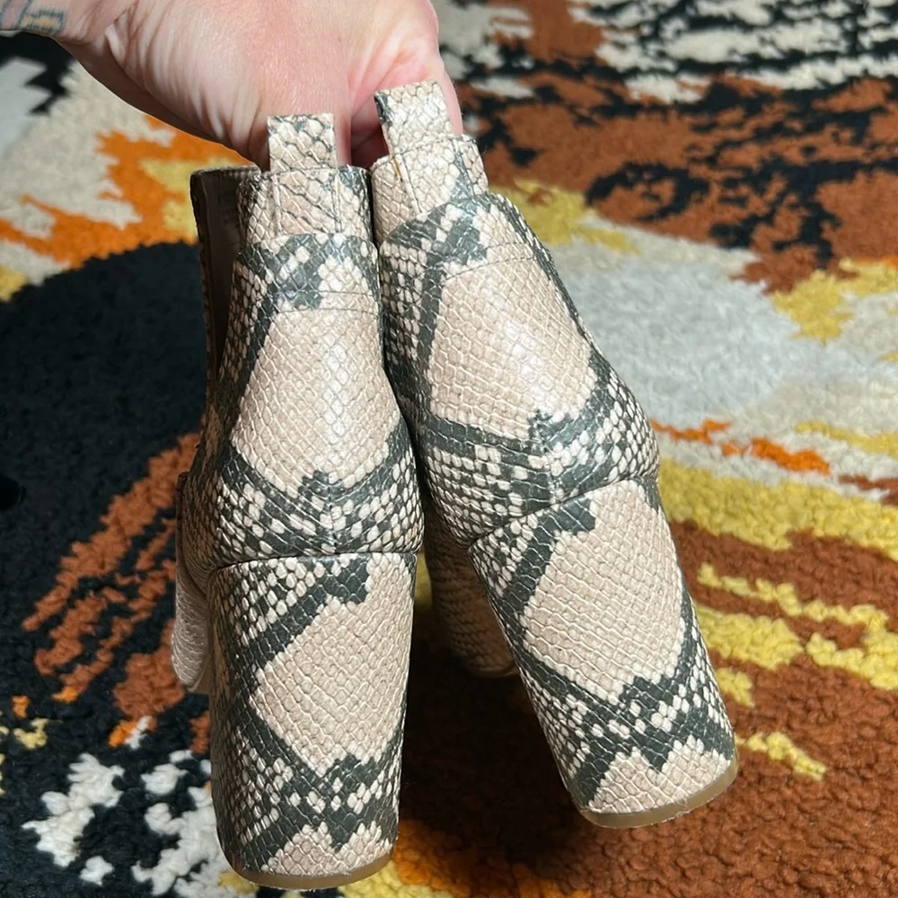 Forrest, STEVE MADDEN, snake bootie!!